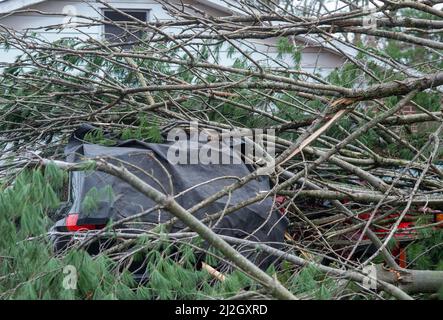 Bedminster, États-Unis. 01st avril 2022. Aly Rice et ses deux véhicules de Brandon sont couverts d'arbres après les orages qui ont causé des dommages importants aux maisons et aux biens dans la région et ont renversé 150 maisons électriques le vendredi 01 avril 2022 à Bedminster, en Pennsylvanie. Le Service météorologique national enquête sur la question de savoir si une tornade a effectivement touché le sol et a été la cause des dommages. Crédit : William Thomas Cain/Alay Live News Banque D'Images