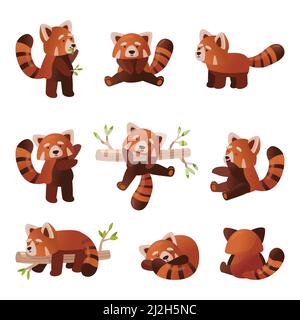 Joli ensemble de dessin animé panda rouge.Illustration vectorielle de caractère animal chinois de forêt sauvage ou animal de compagnie de zoo dans différentes poses, Panda rouge molletonné avec Illustration de Vecteur
