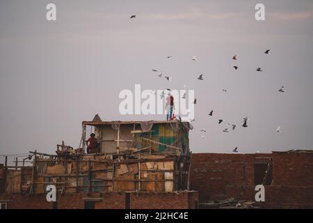 Coucher de soleil vue sur la ville de Giza avec le ciel coloré et les bâtiments locaux Banque D'Images