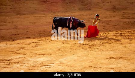 la Real Maestranza, Plaza de Toros, de Séville, Andalousie, espagne, , Combats de taureaux et de taureaux, pendant la Feria de Abril à Séville Banque D'Images