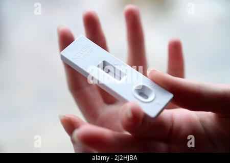 Obligatoire dans les écoles pendant la pandémie, test rapide d'antigène négatif, cassette de test, crise corona, République tchèque Banque D'Images