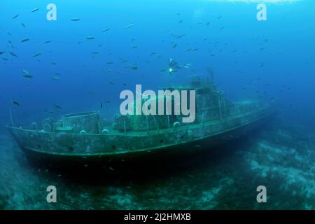 Plongée sous-marine sur l'épave du navire Coastguard Navy Ship TCG 115, un bateau de garde-côtes plongé en contrebas comme attraction pour les plongeurs, Bodrum, Aegaeis, Turquie, mer Méditerranée Banque D'Images