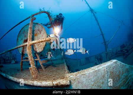 Plongée sous-marine et deux bandes de la brise marine (Diplodus vulgaris) à l'épave du navire de la marine Pinar I, TCGY111, Bodrum, Aegaeis, Turquie, Mer Méditerranée Banque D'Images