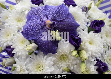 Un magnifique bouquet de chrysanthèmes blancs et de fleurs et roses d'orchidées bleues de Vanda Sansai. Vue de dessus, gros plan. Banque D'Images