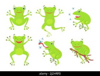 Ensemble d'illustrations de dessin animé de grenouilles mignonnes.Drôle vert croaking crapauds et grenouilles sautant et attrapant des mouches isolées sur fond blanc.Vecteur plat colec Illustration de Vecteur