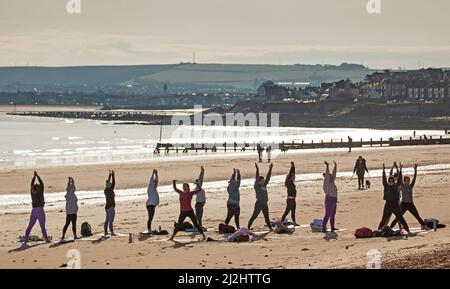 Portobello, Édimbourg Écosse, Royaume-Uni. 2 avril 2022. Premier cours de yoga de plage de 2022 au bord de la mer à côté du Firth of Forth. Température autour de 5 degrés centigrades mais le soleil a donné de la chaleur pour le groupe robuste. Banque D'Images