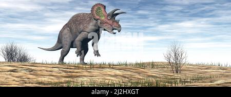 Triceratops dinosaure dans le désert - rendu en 3D Banque D'Images