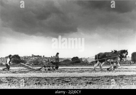 West Hallam & District labour & hedgecutting competition. 15th septembre 1988 Banque D'Images