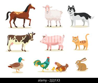 Ensemble d'illustrations vectorielles plates de différents animaux de ferme mignons.Vache, poule, coq, poulets, cochon,chat, chien, mouton, canard, cheval,lapin isolé sur ba blanc Illustration de Vecteur