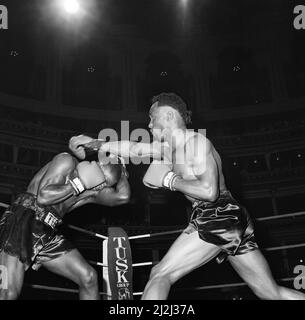 Nigel Benn vs Tim Williams au Royal Albert Hall London.Benn a arrêté son adversaire au second tour. 28th mai 1988 Banque D'Images