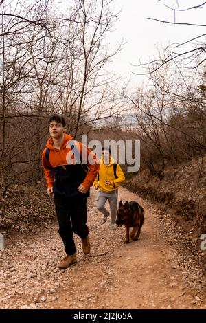 Des amis masculins étonnants et séduisant sont en train de courir avec le chien ensemble sur le chemin dans la forêt tout en s'amusant Banque D'Images