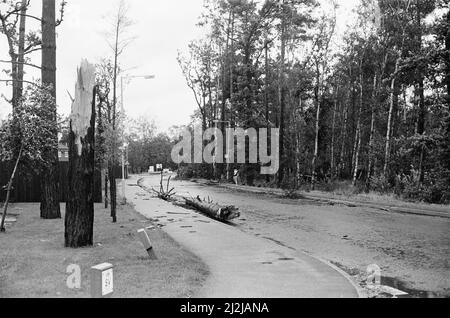 La grande tempête octobre 1987. Nos photos . . . Dégâts causés par la tempête Bracknell, Berkshire, Angleterre, 16th octobre 1987. La grande tempête de 1987 a eu lieu dans la nuit des 15th et 16th octobre 1987. Un système météorologique exceptionnellement fort a causé des vents qui ont frappé une grande partie du sud de l'Angleterre et du nord de la France. C'était la pire tempête à avoir frappé l'Angleterre depuis la Grande tempête de 1703. Les dégâts ont été estimés à 7,3 milliards de livres au Royaume-Uni et à 23 milliards de francs en France. Banque D'Images