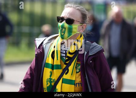 Brighton et Hove, Royaume-Uni. 2nd avril 2022. Un fan de Norwich portant une couverture faciale arrive avant le match de la Premier League au stade AMEX, Brighton et Hove. Le crédit photo devrait se lire: Paul Terry/Sportimage crédit: Sportimage/Alay Live News Banque D'Images