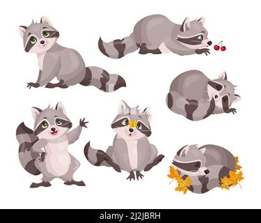 Ensemble de personnages raton laveur mignons. Illustrations vectorielles de petits animaux sauvages de la forêt. Caricature drôle poses de dormir, jouer, agitant adorable raton laveur isol Illustration de Vecteur