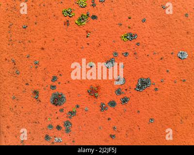 Vieux murs en béton sur des bâtiments modernes et houstoriques avec des fissures et beaucoup de structure en haute résolution Banque D'Images