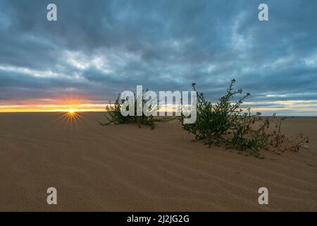 Nuages d'orage dans le ciel au-dessus du désert illuminé par sunbeam à l'aube, Parc naturel de Corralejo, Fuerteventura, îles Canaries, Espagne Banque D'Images