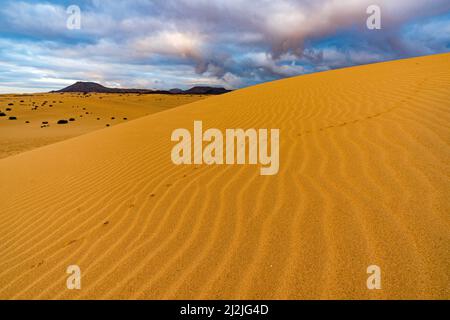 Ciel nuageux à l'aube au-dessus du sable ondulé des dunes du désert, Parc naturel de Corralejo, Fuerteventura, Îles Canaries, Espagne Banque D'Images