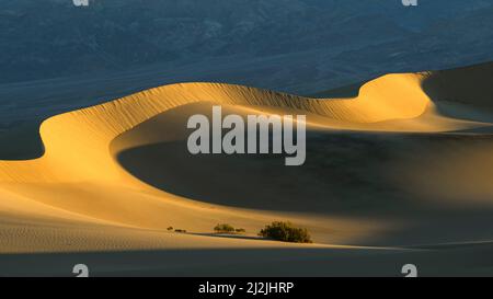 Dunes de sable de Mesquite Flat dans le parc national de la Vallée de la mort, Californie. Banque D'Images
