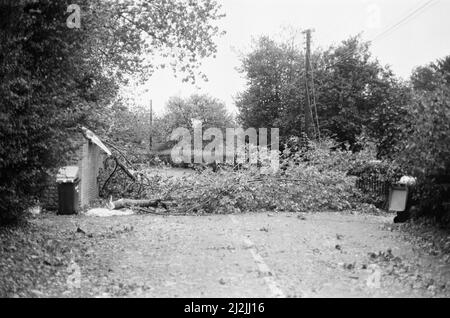 La grande tempête octobre 1987. Nos photos . . . Dégâts causés par la tempête Chieveley, Berkshire, Angleterre, 16th octobre 1987. La grande tempête de 1987 a eu lieu dans la nuit des 15th et 16th octobre 1987. Un système météorologique exceptionnellement fort a causé des vents qui ont frappé une grande partie du sud de l'Angleterre et du nord de la France. C'était la pire tempête à avoir frappé l'Angleterre depuis la Grande tempête de 1703. Les dégâts ont été estimés à 7,3 milliards de livres au Royaume-Uni et à 23 milliards de francs en France. Banque D'Images