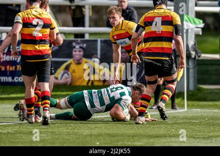 Rayn SMID (8) d'Ealing Trailfinders marque la cinquième tentative de son équipe lors du match de championnat Greene King IPA entre Ealing Trailfinders et Richmond à Castle Bar, West Ealing, Angleterre, le 2 avril 2022. Photo de David Horn Credit: Images Prime Media/Alamy Live News Banque D'Images