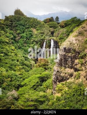 Les chutes d'Opeaka'a tombent des hauts plateaux et mènent vers la côte est de Kauai, à Hawaï. Banque D'Images