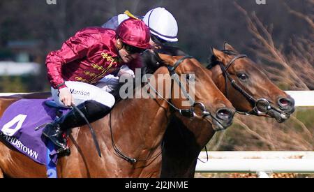 Piz Badile, monté par Gavin Ryan, remporte le P.W. McGrath Memorial Ballysax Stakes (Groupe 3) lors de la Journée des essais classiques de Ballyinch Stud à l'hippodrome de Leopardstown, Dublin. Date de la photo: Samedi 2 avril 2022. Banque D'Images