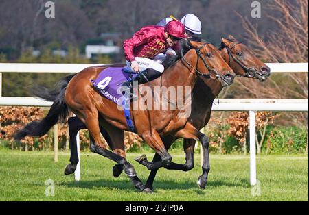 Piz Badile, monté par Gavin Ryan, remporte le P.W. McGrath Memorial Ballysax Stakes (Groupe 3) lors de la Journée des essais classiques de Ballyinch Stud à l'hippodrome de Leopardstown, Dublin. Date de la photo: Samedi 2 avril 2022. Banque D'Images