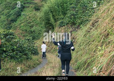 Groupe de jeunes latinos randonnée, entouré de plantations de café dans la région de la culture du café près de la ville de Pereira-Colombie Banque D'Images