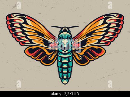 Magnifique papillon coloré de style vintage sur fond clair isolé illustration vectorielle Illustration de Vecteur