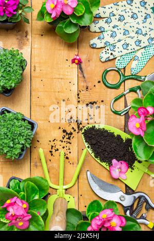 Outils de jardin et fleurs sur une ancienne table en bois. Ressort dans l'arrière-plan du concept de jardin avec espace de texte libre (vue de dessus, plan d'écran plat). Banque D'Images