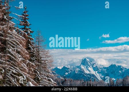Sur le mont Zoncolan, les alpes carniques après une grosse chute de neige. Province d'Udine, région de Friuli-Venezia Giulia, Italie Banque D'Images