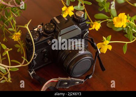 Goias, Brésil – le 02 avril 2022 : appareil photo d'époque au milieu de fleurs colorées sur une table en bois. Banque D'Images