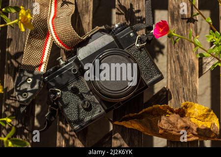 Goias, Brésil – le 02 avril 2022 : un appareil photo d'époque au milieu de fleurs colorées sur une surface en bois. Banque D'Images