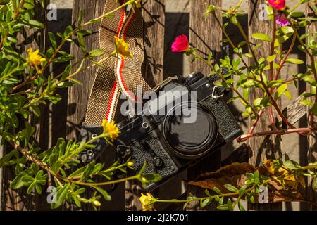 Goias, Brésil – le 02 avril 2022 : un appareil photo d'époque au milieu de fleurs colorées sur une surface en bois. Banque D'Images