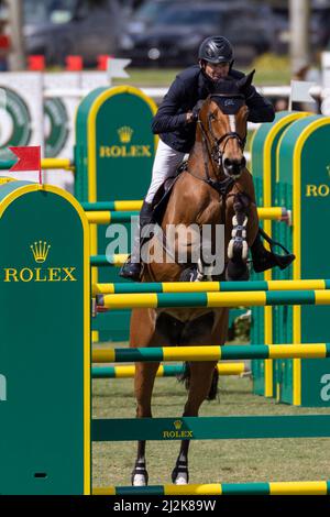 Wellington, Floride, États-Unis. 2nd avril 2022. Battez Mandli à cheval Dsarie pendant le Grand Prix Rolex CSI5 $500 000 à Derby Field, dans le village équestre. Saut CSI5. Grand Prix équestre. Credit: Yaroslav Sabitov/YES Market Media/Alay Live News. Banque D'Images