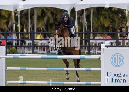 Wellington, Floride, États-Unis. 2nd avril 2022. Battez Mandli à cheval Dsarie pendant le Grand Prix Rolex CSI5 $500 000 à Derby Field, dans le village équestre. Saut CSI5. Grand Prix équestre. Credit: Yaroslav Sabitov/YES Market Media/Alay Live News. Banque D'Images