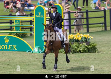 Wellington, Floride, États-Unis. 2nd avril 2022. Jockey à cheval pendant le Grand Prix Rolex CSI5 $500 000 à Derby Field, dans le village équestre. Saut CSI5. Grand Prix équestre. Credit: Yaroslav Sabitov/YES Market Media/Alay Live News. Banque D'Images