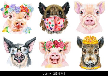 Illustration aquarelle de cochons dans une couronne de pivoines, de verres, de masques médicaux et de couronnes dorées Banque D'Images