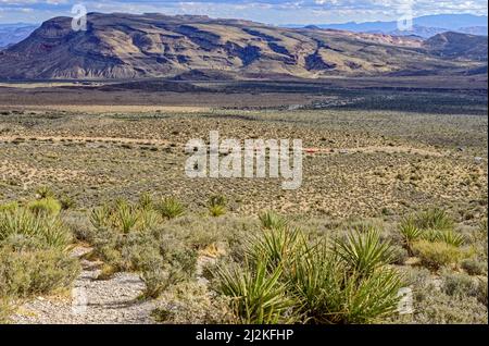 Yucca plantes et sauge dans le désert surplombant la circulation sur la route panoramique en boucle dans la zone nationale de conservation de Red Rock Canyon, Nevada, États-Unis Banque D'Images