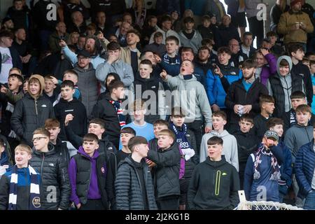 2nd avril 2022 ; Dens Park, Dundee, Écosse : Scottish Premier League football, Dundee versus Aberdeen ; Dundee fans Banque D'Images