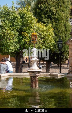 Vue sur le patio de los Naranjos à la Mezquita de Cordoue Banque D'Images