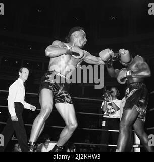 Nigel Benn vs Tim Williams au Royal Albert Hall London.Benn a arrêté son adversaire au second tour. 28th mai 1988 Banque D'Images