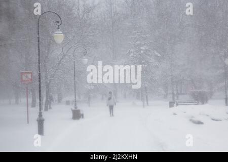 Moscou, Russie. 2nd avril 2022. Une fille marche dans le parc de Moscou pendant une tempête de neige. Credit: Nikolay Vinokurov/Alay Live News Banque D'Images