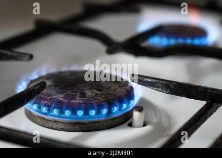 Cuisinière à gaz à la maison, combustion de gaz naturel dans la cuisine, flamme bleue des brûleurs pour la cuisson. Concept de l'économie de la Russie et de l'Europe, coût du gaz, chaleur, Banque D'Images