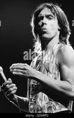 Iggy Pop (chanteur des États-Unis) se interprétant au Reading Rock Festival, Little John's Farm, Reading, Angleterre, le vendredi 23rd août 1991. Iggy a pour nom de naissance James Newell Osterberg, Jr. Iggy a pour liste de jeux le long de la rue, My Baby veut Rock & Roll, Raw Power, Gimme danger, Loose, T.V. Œil, saleté, os d'amour, cinq pieds un, China Girl, Lust for Life, Candy photo prise le 23rd août 1991 Banque D'Images