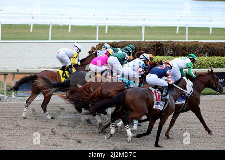 Hallandale, États-Unis d'Amérique. 02nd avril 2022. HALLANDALE, FLORIDE - AVRIL 02: Simplification #3, monté par Jose L. Ortiz mène White Abarrio #7, monté par Tyler Gaffalione, et Pappacap #5, monté par Edwin Gonzalez, à la quatrième tour pendant le Derby de Floride à Gulfstream Park le 02 avril 2022 à Hallandale, Floride. Personnes: White Abarrio, Tyler Gaffalione crédit: Storms Media Group/Alay Live News Banque D'Images
