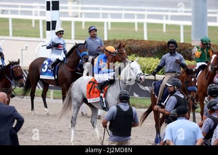 Hallandale, États-Unis d'Amérique. 02nd avril 2022. HALLANDALE, FLORIDE - AVRIL 02: Simplification #3, monté par Jose L. Ortiz mène White Abarrio #7, monté par Tyler Gaffalione, et Pappacap #5, monté par Edwin Gonzalez, à la quatrième tour pendant le Derby de Floride à Gulfstream Park le 02 avril 2022 à Hallandale, Floride. Personnes: White Abarrio, Tyler Gaffalione crédit: Storms Media Group/Alay Live News Banque D'Images
