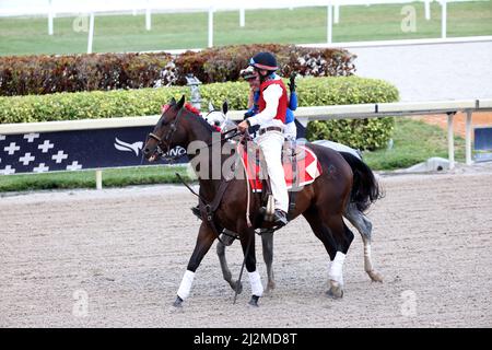 Hallandale, États-Unis d'Amérique. 02nd avril 2022. HALLANDALE, FLORIDE - AVRIL 02: Simplification #3, monté par Jose L. Ortiz mène White Abarrio #7, monté par Tyler Gaffalione, et Pappacap #5, monté par Edwin Gonzalez, à la quatrième tour pendant le Derby de Floride à Gulfstream Park le 02 avril 2022 à Hallandale, Floride. Personnes: White Abarrio, Tyler Gaffalione crédit: Storms Media Group/Alay Live News Banque D'Images