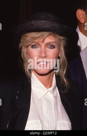 Donna Mills Circa années 1980 crédit: Ralph Dominguez/MediaPunch Banque D'Images