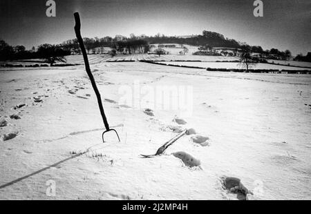 Meurtre de Charles Walton. Photo, scène de crime et armes de meurtre, photo 11th février 1991. Charles Walton, un ouvrier agricole de 74 ans de Lower Quinton dans le Warwickshire, qui a été trouvé assassiné dans la nuit du 14th février 1945 dans une ferme connue sous le nom de Firs, située sur les pentes de Meon Hill. Il a été tué avec une paire de fourches. L'affaire a gagné une notoriété considérable parce que certains croient que Walton a été tué comme un sacrifice de sang ou dans le cadre d'une cérémonie de sorcellerie. C'est le plus ancien meurtre non résolu sur les dossiers de la Constabulary de Warwickshire. Banque D'Images